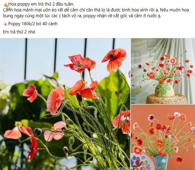 Giá thành hợp lý là một trong những lý do khiến hoa poppy được nhiều chị em lựa chọn 