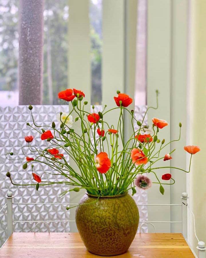 Loại hoa nhập khẩu lạ lẫm, khoảng 200.000 đồng/bó chị em mê mẩn - 7