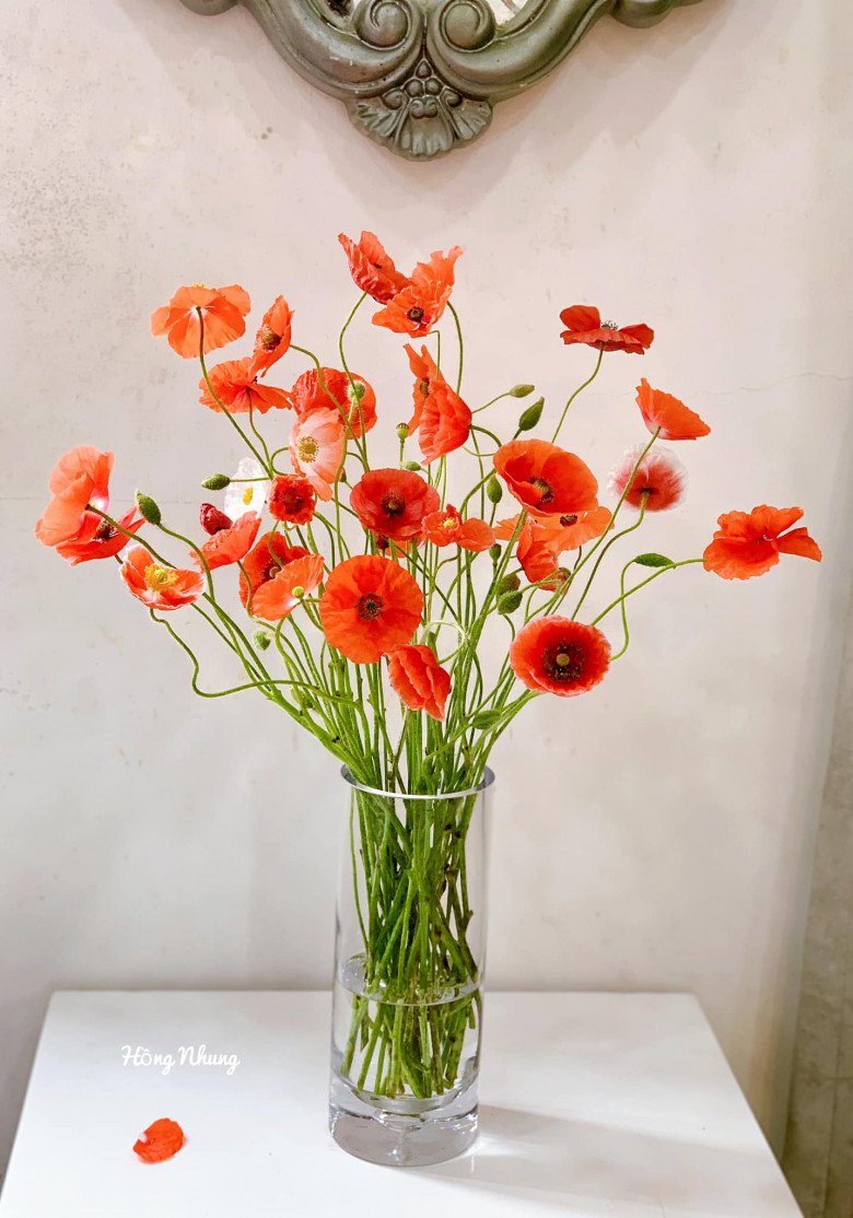 Loại hoa nhập khẩu lạ lẫm, khoảng 200.000 đồng/bó chị em mê mẩn - 9