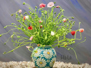 Tiêu dùng - Loại hoa nhập khẩu lạ lẫm, khoảng 200.000 đồng/bó chị em mê mẩn