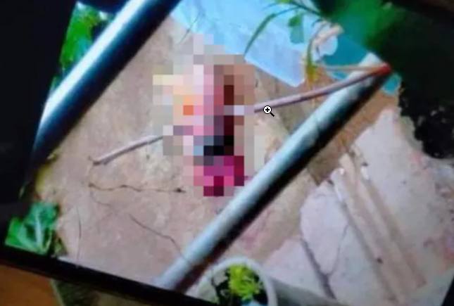 Hình ảnh thi thể bé sơ sinh bị bỏ rơi trong khuôn viên trường THPT Chu Văn Thịnh.