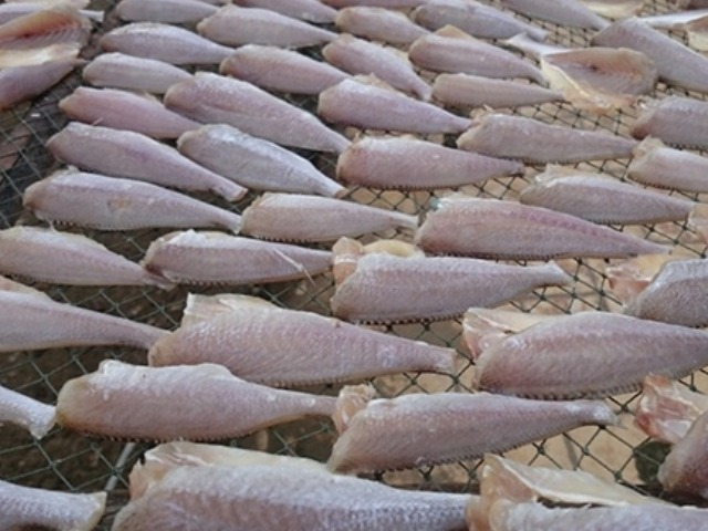 Loại cá bị chê lên chê xuống nay đổi đời thành đặc sản giá đắt, còn bán ra nước ngoài