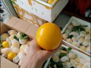 Tiêu dùng - Hết thời hoàng kim, loại quả "sang chảnh" ở Việt Nam 900.000/kg giờ rẻ ngang hàng chợ