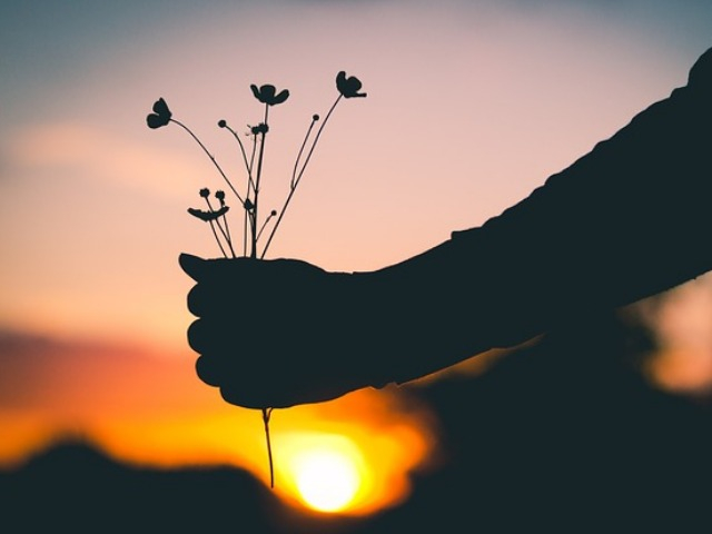 Người dám đối mặt với 10 sự thật này cuộc sống sẽ ngày càng tốt đẹp