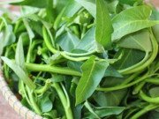 Tiêu dùng - Rau muống phun đẫm hóa chất sẽ có đặc điểm này trên lá