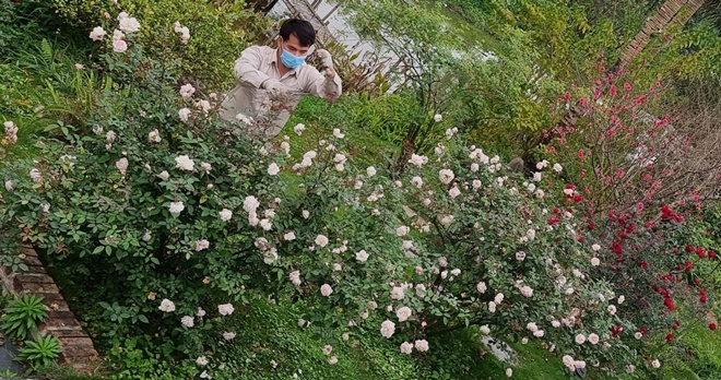 F0 vẫn chăm chỉ ra vườn chăm sóc hoa trong khuôn viên đẹp nên thơ.