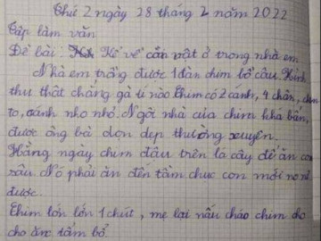 Học sinh tiểu học làm văn mà thật thà như đếm, phụ huynh muốn độn thổ vì lộ hết cả bí mật gia đình
