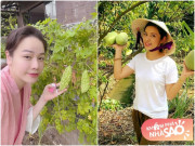 Nhà đẹp - Sau ly hôn 2 bà mẹ đơn thân không muốn lấy thêm chồng: Ở biệt thự, thích trồng rau quê