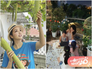 Nhà đẹp - 2 bà hoàng đời thực giữa showbiz: Ở biệt thự to ngang cung điện, hoa nở 4 mùa