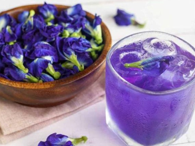 Tác dụng của hoa đậu biếc là gì? Nên uống hoa đậu biếc vào lúc nào là tốt nhất?