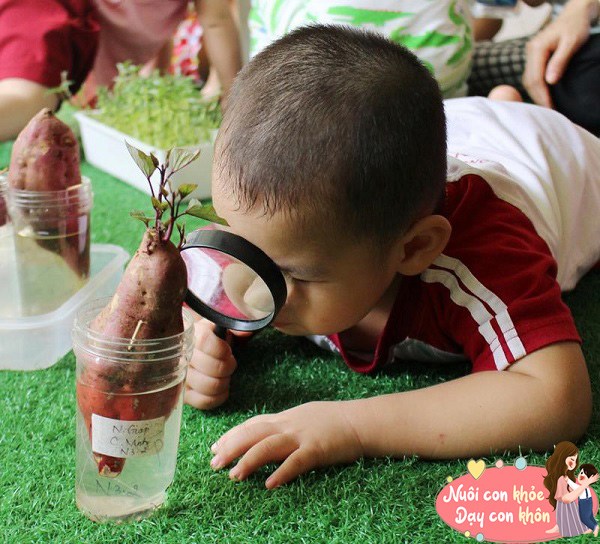 Để nâng cao khả năng quan sát của trẻ, cha mẹ có thể hướng dẫn trẻ tập quan sát và miêu tả một vật nào đó.