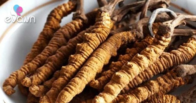 F0 spent big bucks on cordyceps, a bird’s nest for quick recovery: What do the experts say?
