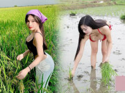 Thời trang - Nhức mắt trước cảnh các cô gái diện đồ phản cảm đi lội ruộng: đến bikini cũng được trưng dụng