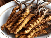 Sức khỏe - F0 bỏ "núi tiền" mua đông trùng hạ thảo, tổ yến về ăn để nhanh khỏi: Chuyên gia nói gì?