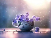 Eva tám - Người càng thông suốt, cuộc sống càng đơn giản