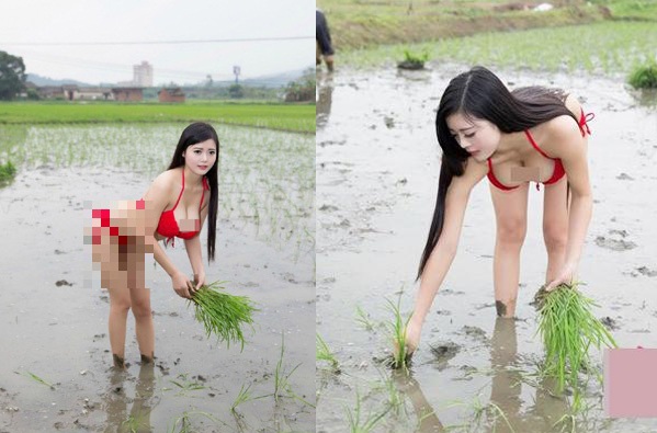 Eyes sting to see the scene where the girls wear immodest clothes to wade through the fields: even bikinis are used - 4