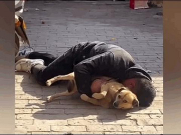  Clip: Say rượu, người đàn ông ôm con chó ngủ ngay trên đường 