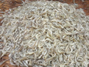 Xem ăn chơi - Món ăn xưa rẻ bèo cho người nghèo, giờ thành đặc sản được dân thành phố ưa chuộng, 270.000 đồng/kg