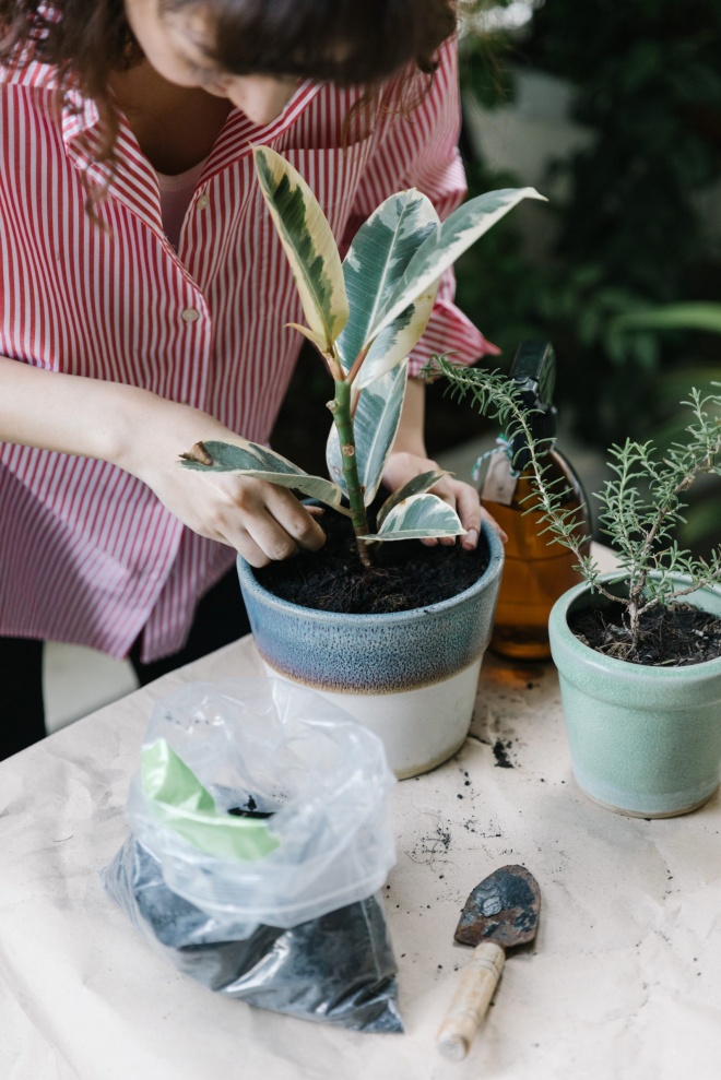 6 secrets when watering plants, doing 3/6 without fertilizing flowers keep flowing into the waterfall - 1