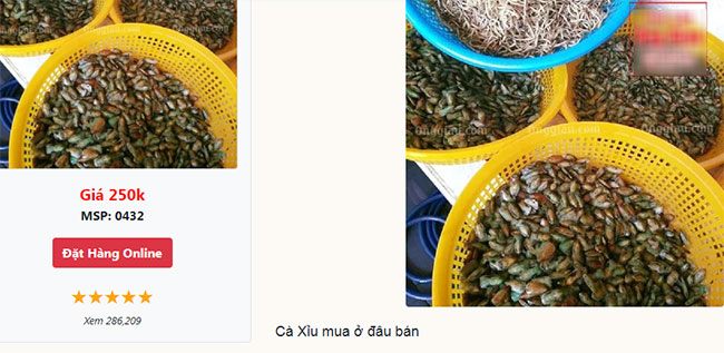Famous specialty food only in Kien Giang, the more you eat, the more addicted you become, 250,000 VND/kg customers compete to buy - 5