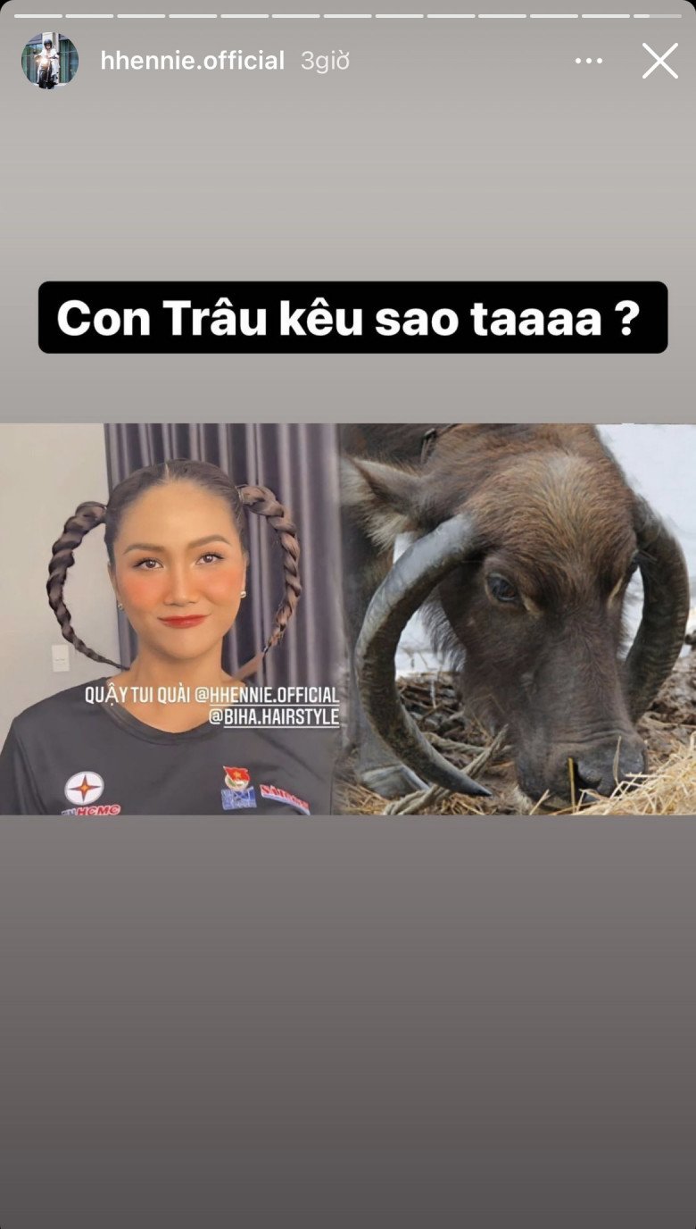 Hamp;#39;Hen Nie boldly wears unique buffalo horn hair in Vietnamese showbiz - 3