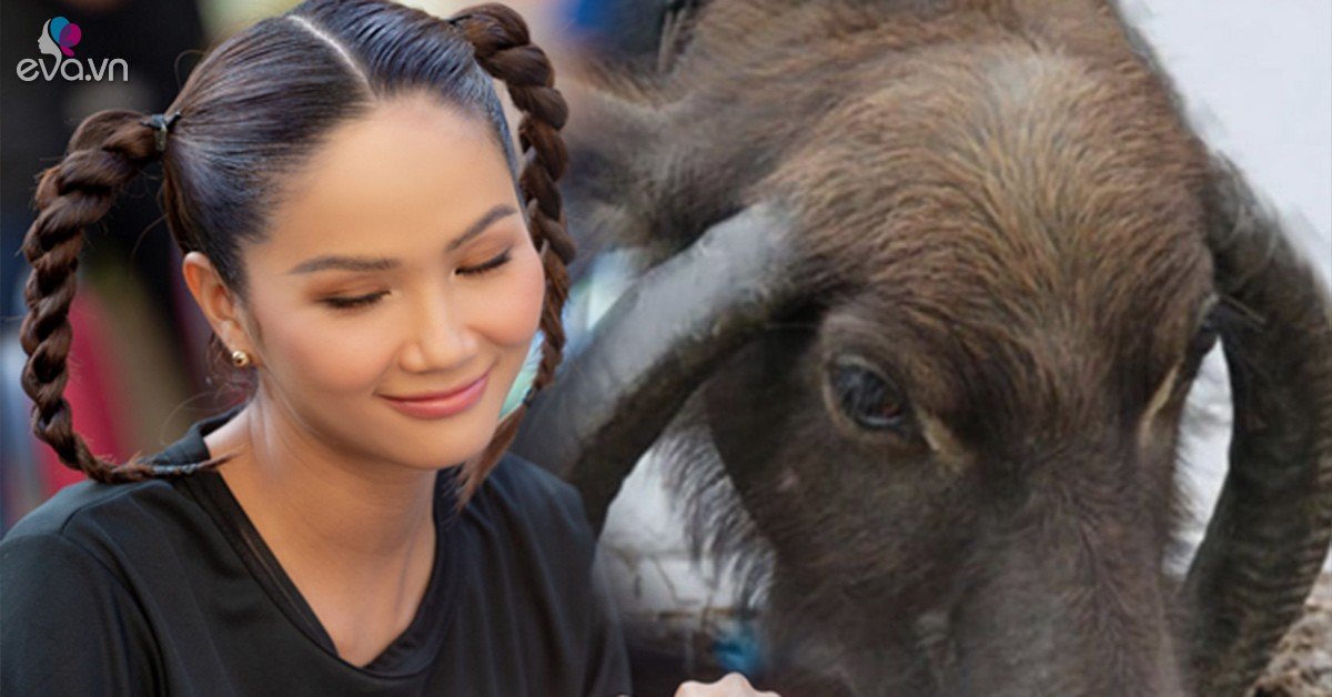 H’Hen Nie boldly wears buffalo horn hair which is unique in the Vietnamese entertainment world