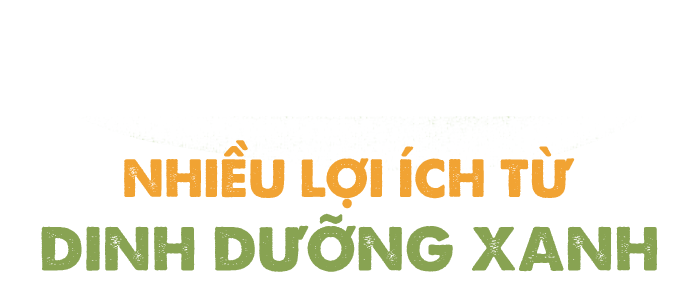 Dinh dưỡng xanh đang dẫn dắt xu hướng tiêu dùng - 13