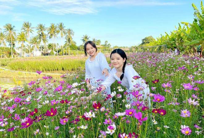 Young people flock to check in at the colorful flower fields in Bac Lieu - 4