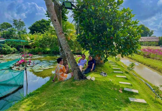 Young people flock to check-in at the fields of colorful flowers in Bac Lieu - 10