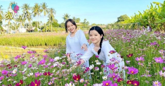 Young people flock to check in to the fields of colorful flowers in Bac Lieu
