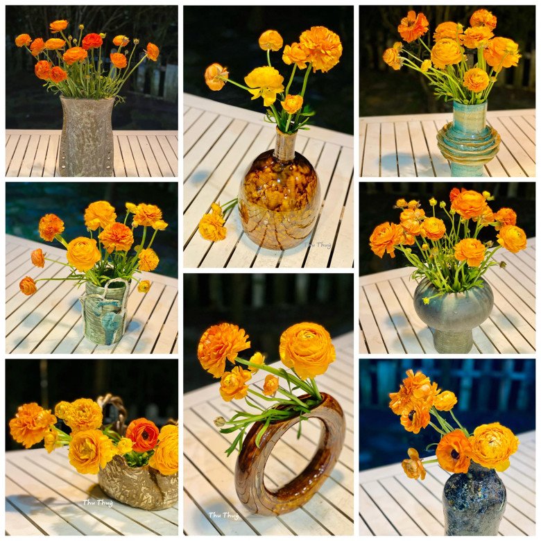 Hanoi lecturer puts durable and beautiful ranunculus: Spent 80,000 VND with 10 vases to play for 19 days - 2