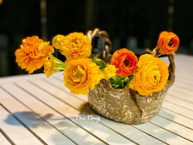 Hanoi lecturer places beautiful and durable ranunculus: Spent 80,000 VND with 10 vases of flowers to play for 19 days - 9