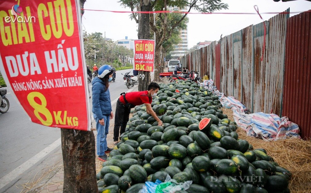 News 24h: Rescued watermelons being sold on the sidewalk, super cheap but few people buy