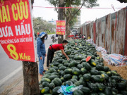 Tin tức - Tin tức 24h: Dưa hấu "giải cứu" bán la liệt trên vỉa hè, giá siêu rẻ nhưng ít người mua