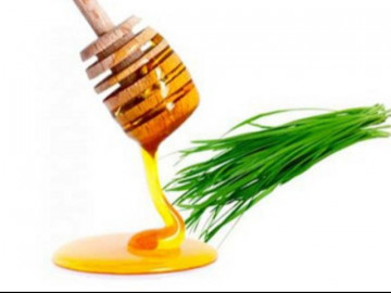 Loại rau có nhiều kháng sinh giúp trị ho, viêm họng cực tốt nhưng người Việt ít dùng