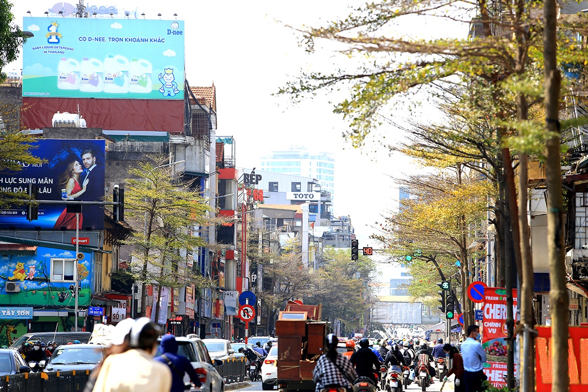 The heartbreaking beauty of Hanoi in the season when the trees change their leaves - 3