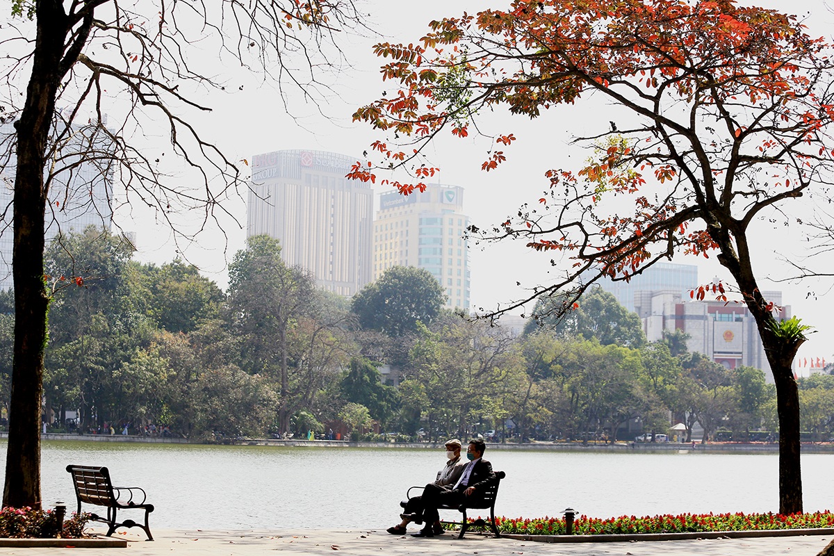 The heartbreaking beauty of Hanoi in the season when the trees change their leaves - 9