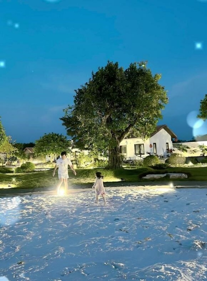 Truong Giang garden villa: Billion dollar fish pond, lush fruits harvested - 5