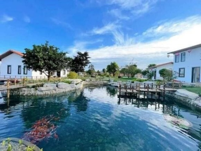 Truong Giang garden villa: Billion dollar fish pond, lush fruits harvested - 6
