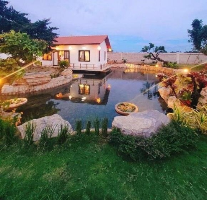 Truong Giang garden villa: Billion dollar fish pond, lush fruits harvested - 7
