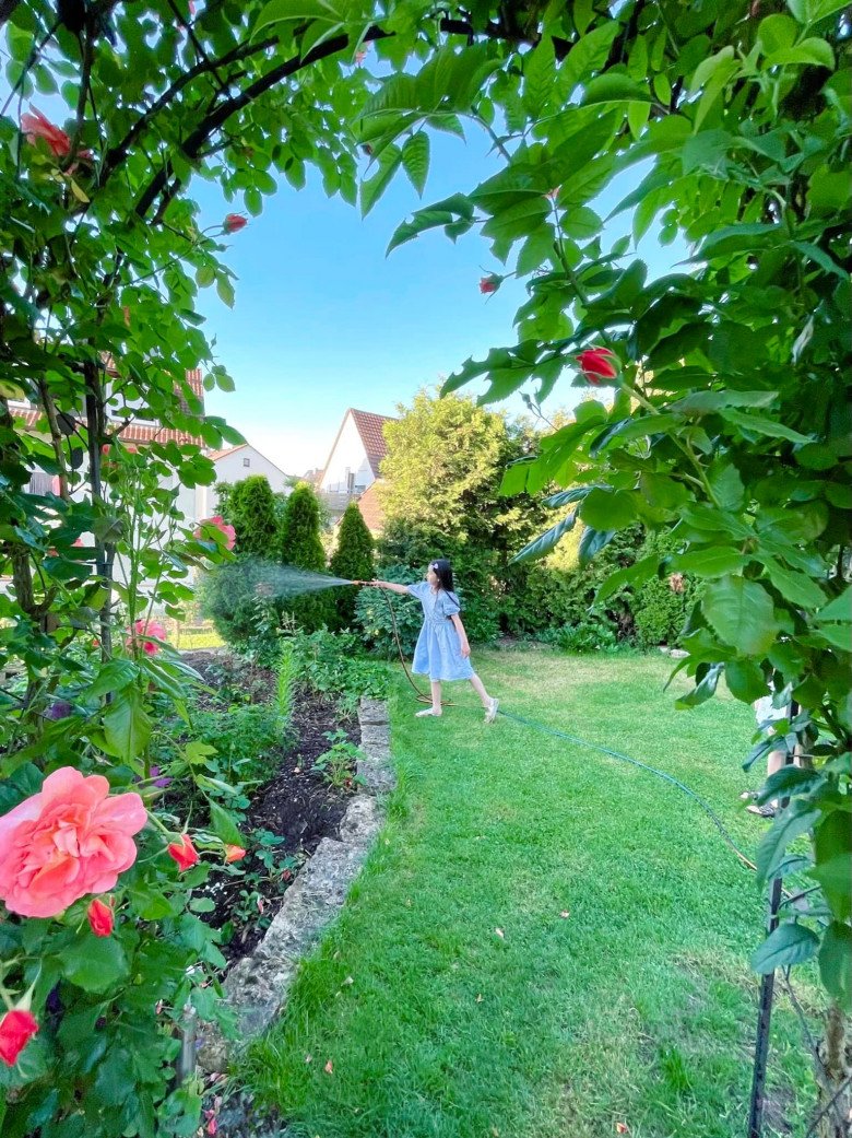 Vietnamese mother grows all kinds of roses in Germany, beautiful 300m2 garden like a fairy tale - 5