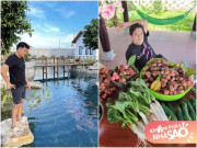 Nhà đẹp - Biệt thự miệt vườn của Trường Giang: Hồ cá to tiền tỷ, trái cây xum xuê hái được cả đống
