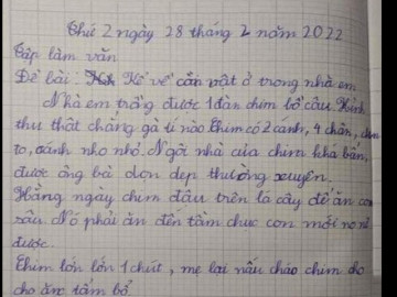 Bài văn tả đàn chim bồ câu khiến ai đọc xong cũng ngỡ ngàng vì không thể chân thực hơn
