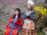 Xem ăn chơi - Mùa hoa đào nở muộn ở cao nguyên đá Hà Giang