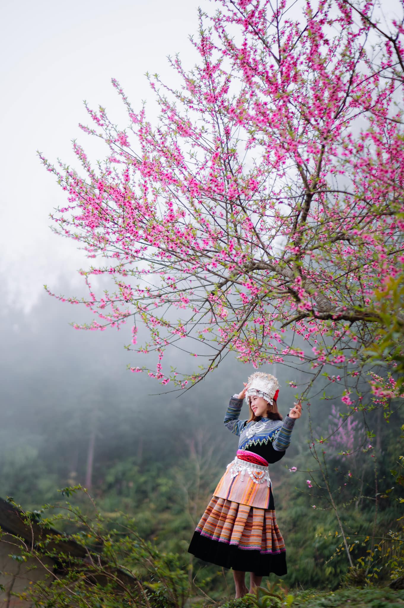 Late blooming peach blossom season on the rocky plateau of Ha Giang - 6