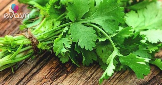 What are the health benefits of coriander?  Does eating coriander lose milk?