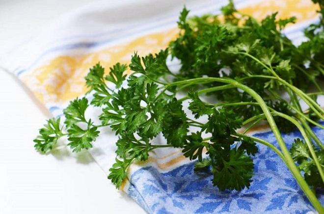 What are the health benefits of coriander?  Does eating coriander lose milk?  - 6