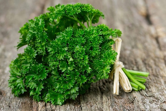What are the health benefits of coriander?  Does eating coriander lose milk?  - 5