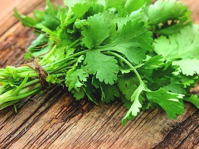 What are the health benefits of coriander?  Does eating coriander lose milk?  - 3