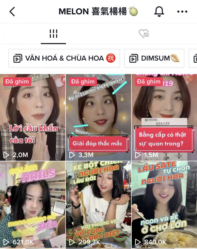 Chinese-Vietnamese girl hits millions of tiktok views thanks to unique Cantonese video - 5